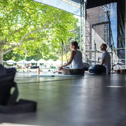 YOGA JUNKIES FESTIVAL 2026 - Samstag