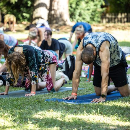 YOGA JUNKIES FESTIVAL 2026 - Samstag