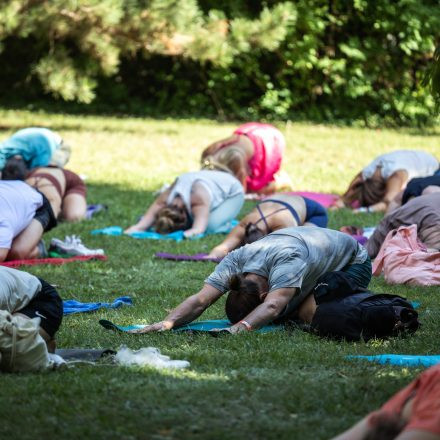 YOGA JUNKIES FESTIVAL 2026 - Samstag