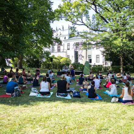 YOGA JUNKIES FESTIVAL 2026 - Samstag