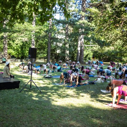 YOGA JUNKIES FESTIVAL 2026 - Samstag