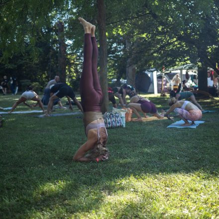 YOGA JUNKIES FESTIVAL 2026 - Samstag