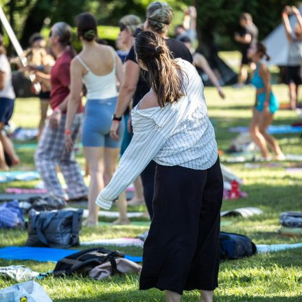 YOGA JUNKIES FESTIVAL 2026 - Samstag