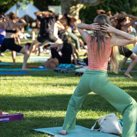 YOGA JUNKIES FESTIVAL 2026 - Samstag