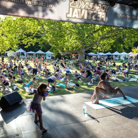 YOGA JUNKIES FESTIVAL 2026 - Samstag