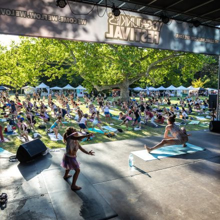 YOGA JUNKIES FESTIVAL 2026 - Samstag