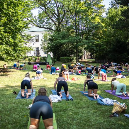 YOGA JUNKIES FESTIVAL 2026 - Sonntag