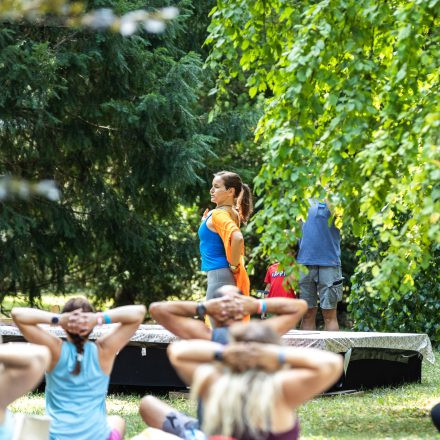YOGA JUNKIES FESTIVAL 2026 - Sonntag