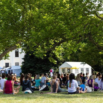 YOGA JUNKIES FESTIVAL 2026 - Sonntag