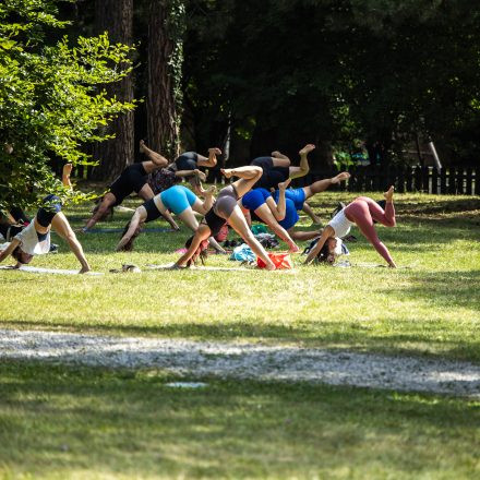 YOGA JUNKIES FESTIVAL 2026 - Sonntag