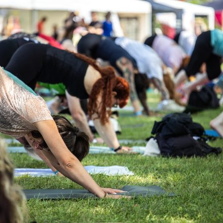 YOGA JUNKIES FESTIVAL 2026 - Sonntag