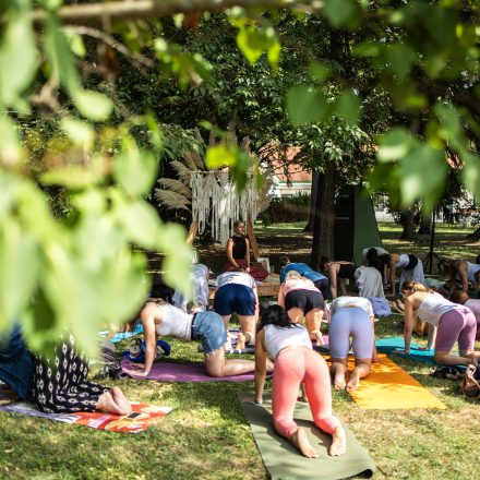 YOGA JUNKIES FESTIVAL 2026 - Sonntag