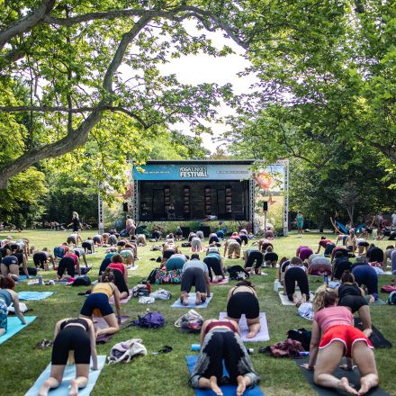 YOGA JUNKIES FESTIVAL 2026 - Sonntag