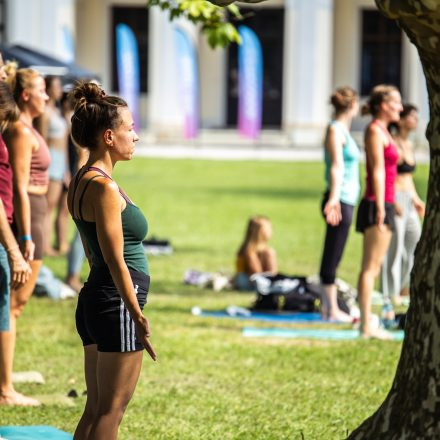 YOGA JUNKIES FESTIVAL 2026 - Sonntag
