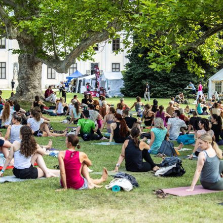 YOGA JUNKIES FESTIVAL 2026 - Sonntag