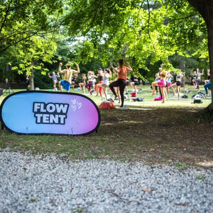 YOGA JUNKIES FESTIVAL 2026 - Sonntag