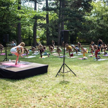 YOGA JUNKIES FESTIVAL 2026 - Sonntag