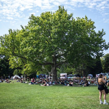 YOGA JUNKIES FESTIVAL 2026 - Sonntag