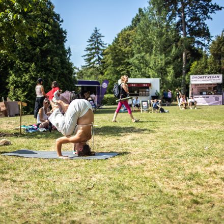 YOGA JUNKIES FESTIVAL 2026 - Sonntag