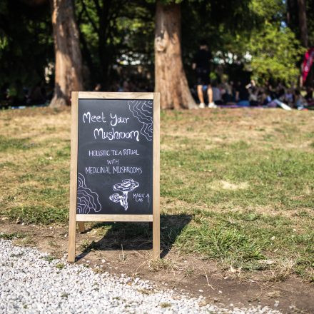YOGA JUNKIES FESTIVAL 2026 - Sonntag