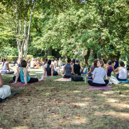 YOGA JUNKIES FESTIVAL 2026 - Sonntag