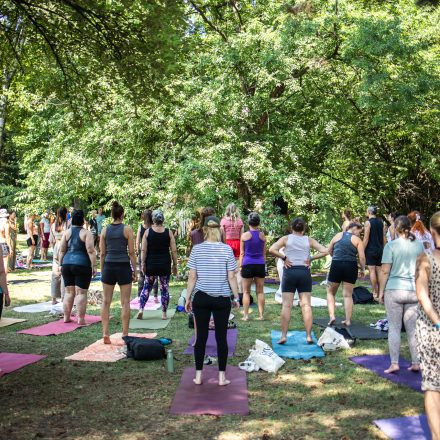 YOGA JUNKIES FESTIVAL 2026 - Sonntag