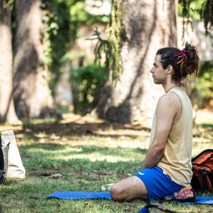 YOGA JUNKIES FESTIVAL 2026 - Sonntag