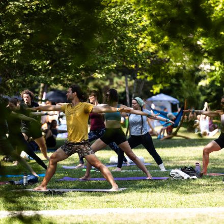 YOGA JUNKIES FESTIVAL 2026 - Sonntag