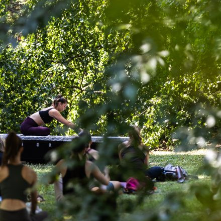 YOGA JUNKIES FESTIVAL 2026 - Sonntag