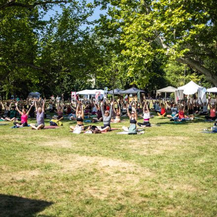 YOGA JUNKIES FESTIVAL 2026 - Sonntag