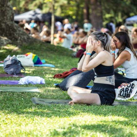 YOGA JUNKIES FESTIVAL 2026 - Sonntag