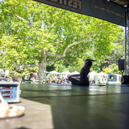 YOGA JUNKIES FESTIVAL 2026 - Sonntag