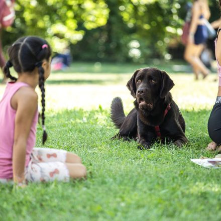 YOGA JUNKIES FESTIVAL 2026 - Sonntag