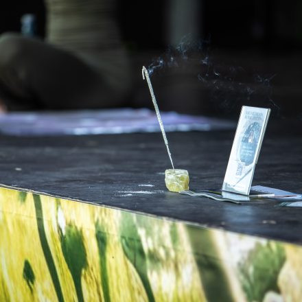 YOGA JUNKIES FESTIVAL 2026 - Sonntag