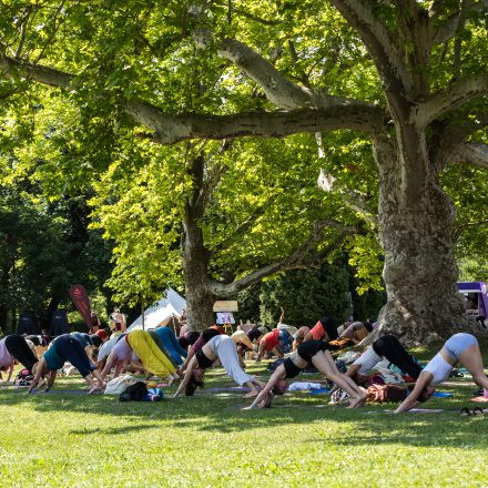 YOGA JUNKIES FESTIVAL 2026 - Sonntag