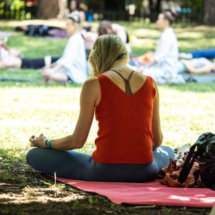 YOGA JUNKIES FESTIVAL 2026 - Sonntag