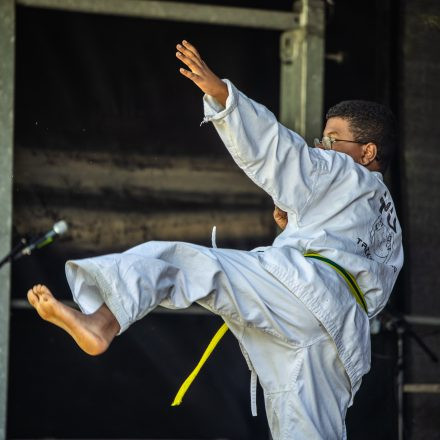 YOGA JUNKIES FESTIVAL 2026 - Sonntag
