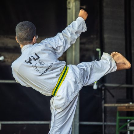 YOGA JUNKIES FESTIVAL 2026 - Sonntag