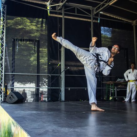 YOGA JUNKIES FESTIVAL 2026 - Sonntag