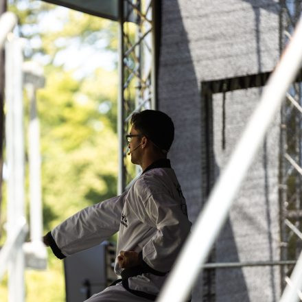 YOGA JUNKIES FESTIVAL 2026 - Sonntag