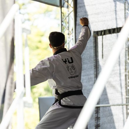 YOGA JUNKIES FESTIVAL 2026 - Sonntag