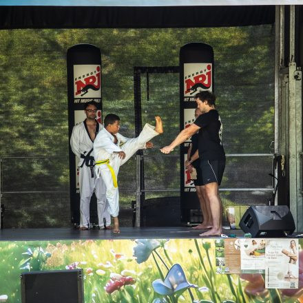 YOGA JUNKIES FESTIVAL 2026 - Sonntag