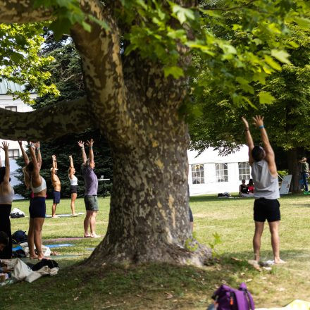 YOGA JUNKIES FESTIVAL 2026 - Sonntag