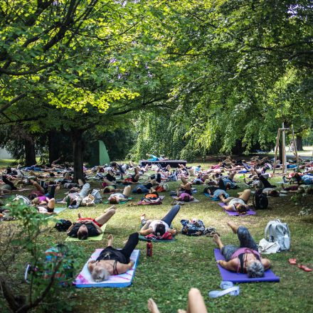 YOGA JUNKIES FESTIVAL 2026 - Sonntag