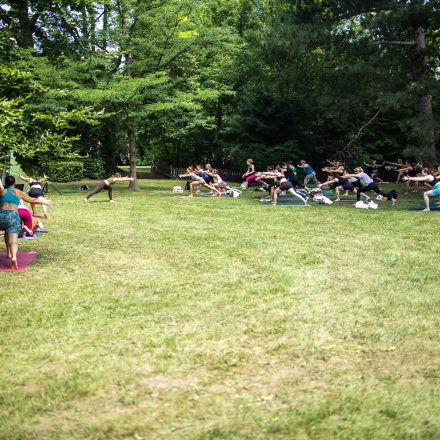 YOGA JUNKIES FESTIVAL 2026 - Sonntag