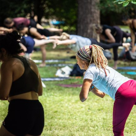 YOGA JUNKIES FESTIVAL 2026 - Sonntag