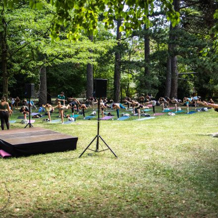 YOGA JUNKIES FESTIVAL 2026 - Sonntag