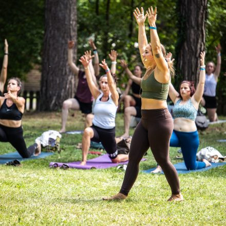 YOGA JUNKIES FESTIVAL 2026 - Sonntag