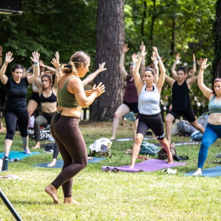 YOGA JUNKIES FESTIVAL 2026 - Sonntag
