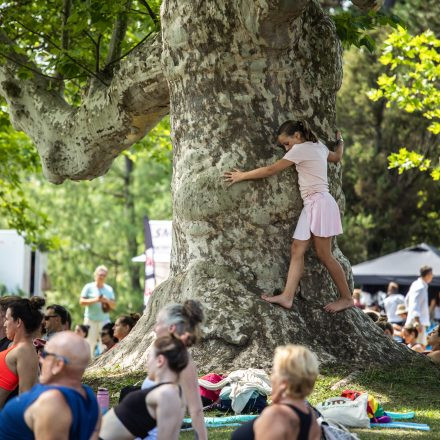 YOGA JUNKIES FESTIVAL 2026 - Sonntag